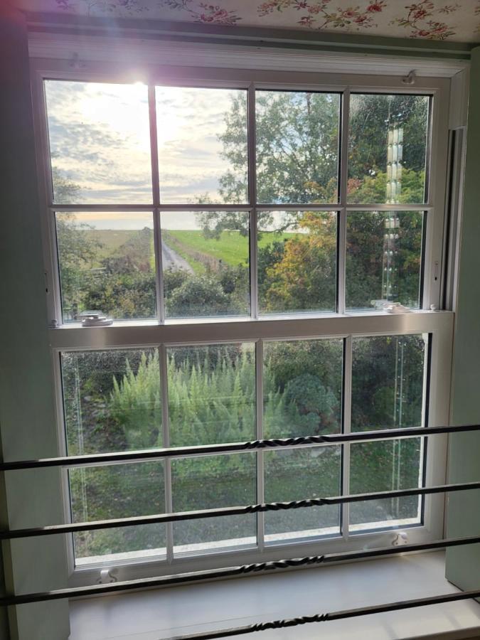 The Green Door Vegan B&B Llanon 外观 照片
